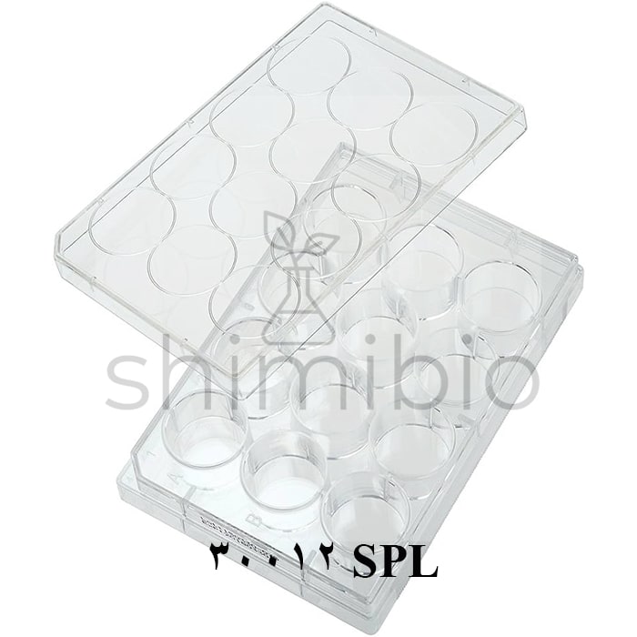 پلیت کشت سلول 12 خانه SPL